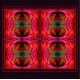 FRACTAL ART DESIGN GREETING CARD Draconis 4